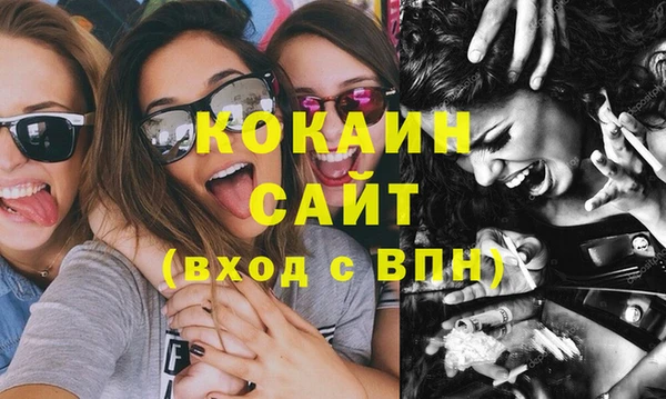шишки Абаза