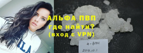 шишки Абаза