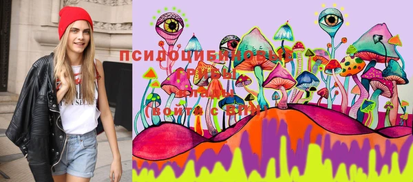 шишки Абаза