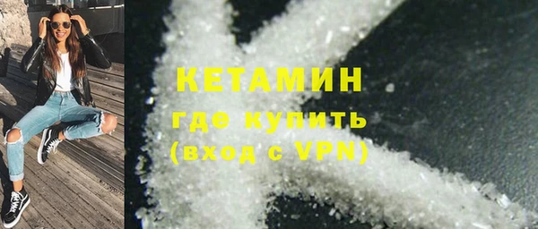 шишки Абаза